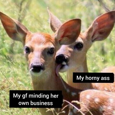 Watch 🦋daria | saw ENHYPEN🦋's leaked NSFW photo on TwXstars