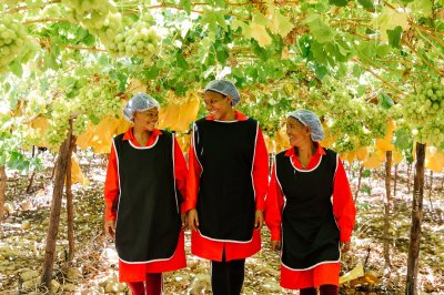 Watch Waitrose & Partners's leaked NSFW photo on TwXstars