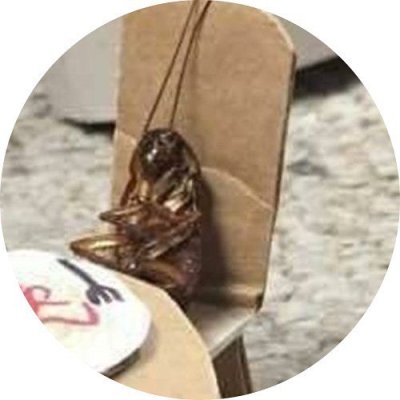 Watch 🦋daria | saw ENHYPEN🦋's leaked NSFW photo on TwXstars