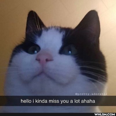 Watch 🦋daria | saw ENHYPEN🦋's leaked NSFW photo on TwXstars