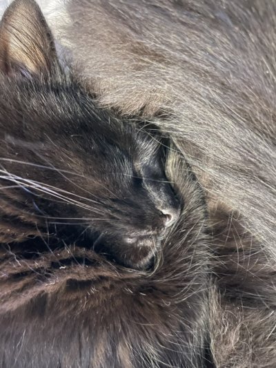 Watch Meg Turney's leaked NSFW photo on TwXstars