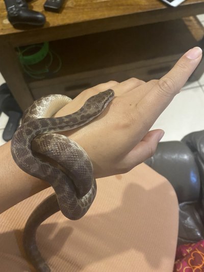 Watch Rubi Valentine's leaked NSFW photo on TwXstars