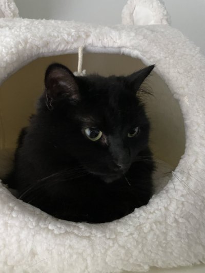 Watch Meg Turney's leaked NSFW photo on TwXstars