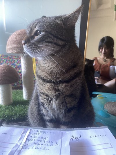 Watch kitty ♡'s leaked NSFW photo on TwXstars