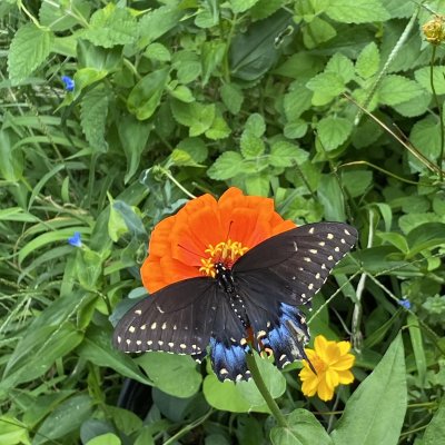 Watch perc cobain's leaked NSFW photo on TwXstars