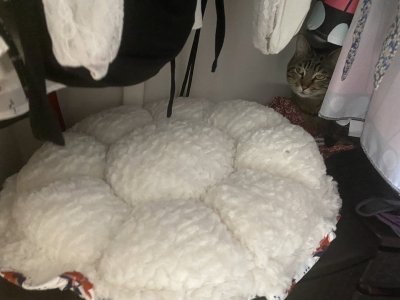 Watch kitty ♡'s leaked NSFW photo on TwXstars