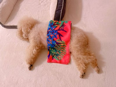 Watch ♥︎official_Hitomi♥︎'s leaked NSFW photo on TwXstars