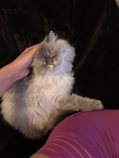 Watch summer lynn hart's leaked NSFW photo on TwXstars