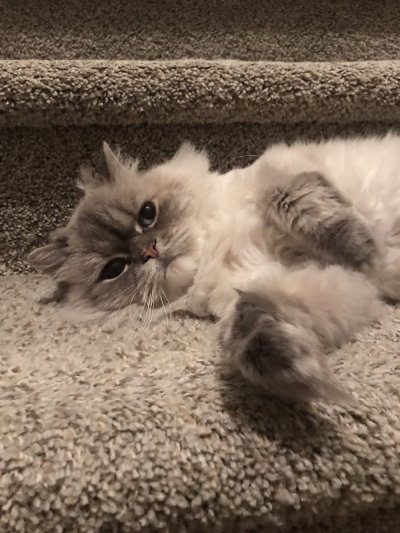 Watch summer lynn hart's leaked NSFW photo on TwXstars