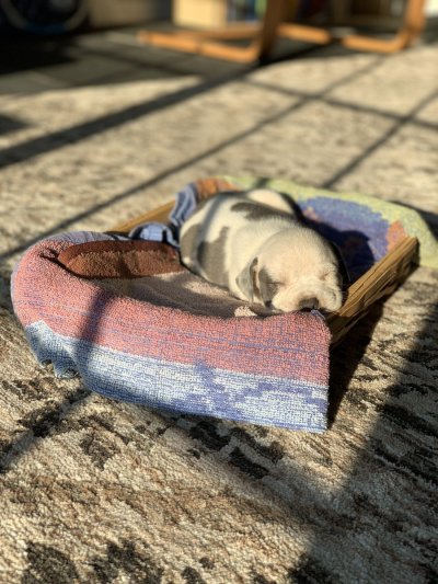 Watch babyface dri 🕷️'s leaked NSFW photo on TwXstars