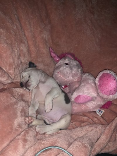 Watch babyface dri 🕷️'s leaked NSFW photo on TwXstars