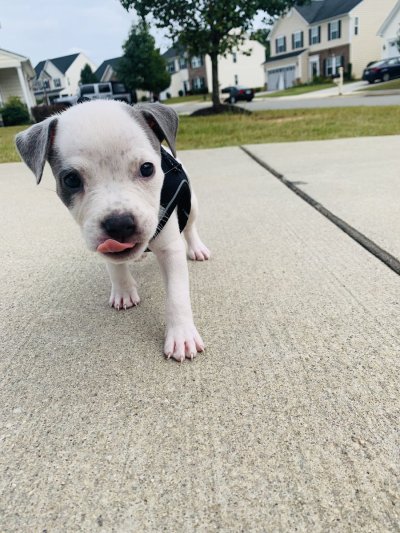 Watch babyface dri 🕷️'s leaked NSFW photo on TwXstars