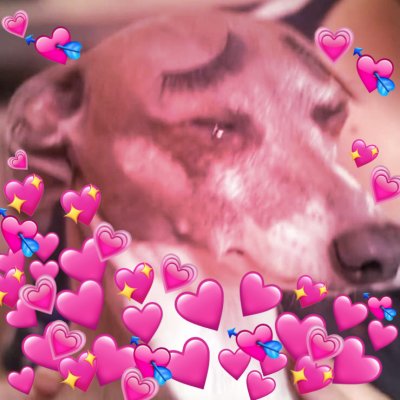 Watch ❤️❤️GUMMY❤️❤️'s leaked NSFW photo on TwXstars