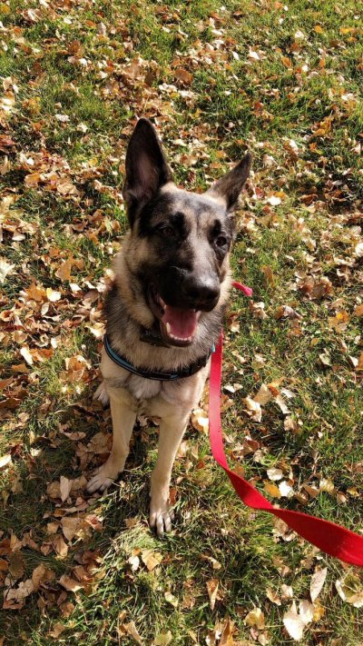 Watch toast's leaked NSFW photo on TwXstars