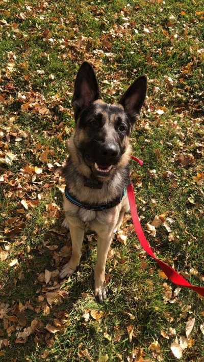 Watch toast's leaked NSFW photo on TwXstars