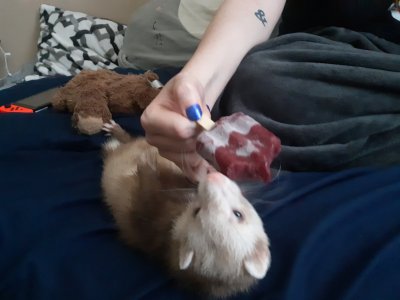 Watch FoxyPrince ♡'s leaked NSFW photo on TwXstars