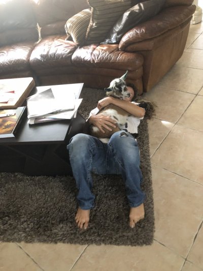 Watch Prinzzess Felicity's leaked NSFW photo on TwXstars