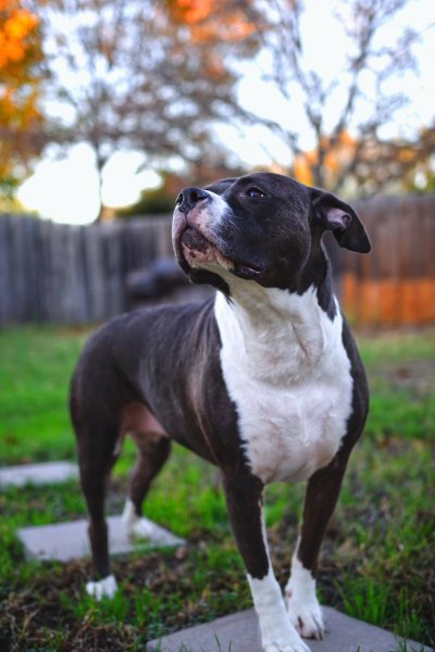 Watch Jet Leeroy's leaked NSFW photo on TwXstars