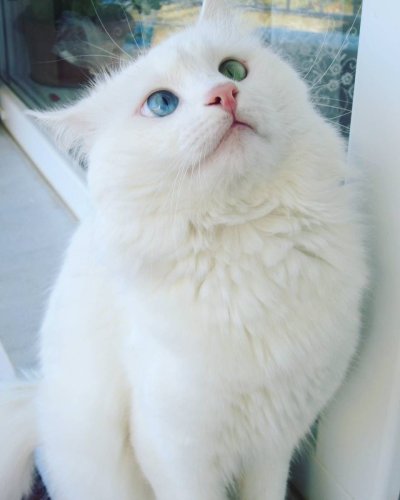 Watch Rusty Fawkes's leaked NSFW photo on TwXstars