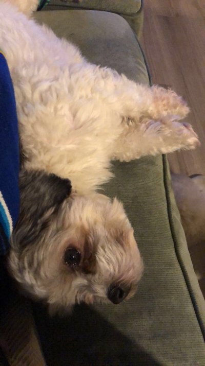 Watch 🔥Haute and Cold🧊's leaked NSFW photo on TwXstars