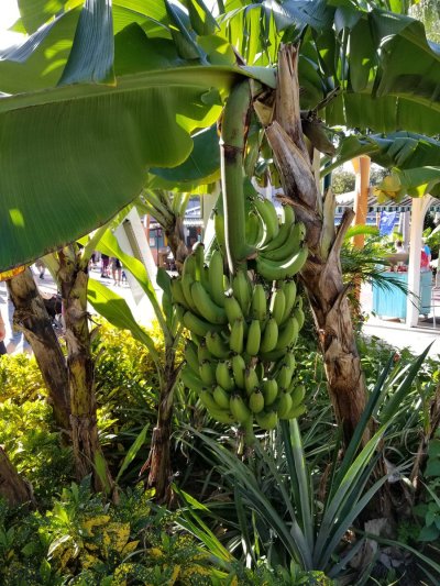 Watch Steven 🔞's leaked NSFW photo on TwXstars