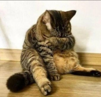 Watch ۶ৎ 𝒶𝓂𝑜𝓊𝓇 ۶ৎ's leaked NSFW photo on TwXstars