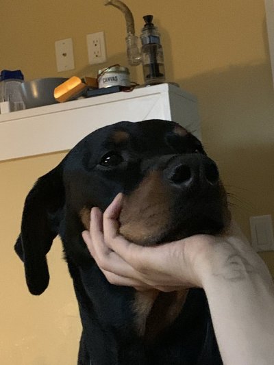 Watch Autumn's leaked NSFW photo on TwXstars