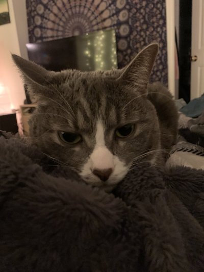 Watch Autumn's leaked NSFW photo on TwXstars