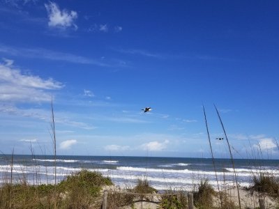 Watch Steven 🔞's leaked NSFW photo on TwXstars