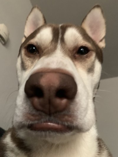 Watch blackhand's leaked NSFW photo on TwXstars