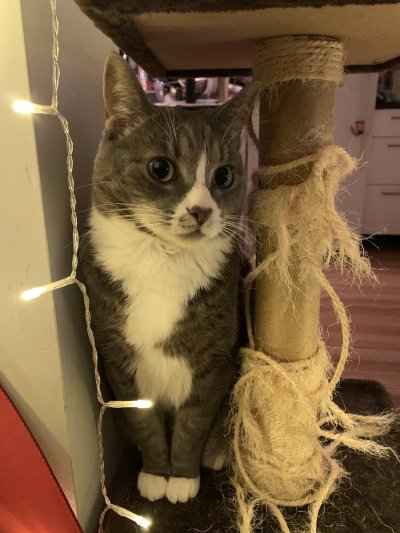 Watch Autumn's leaked NSFW photo on TwXstars