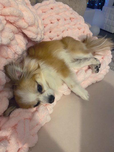 Watch elise laurenne's leaked NSFW photo on TwXstars