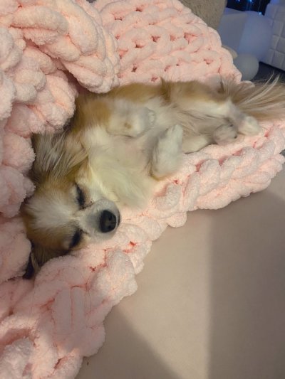 Watch elise laurenne's leaked NSFW photo on TwXstars