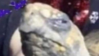 Watch Yosuf's leaked NSFW photo on TwXstars