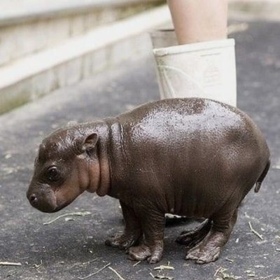 Watch blackhand's leaked NSFW photo on TwXstars