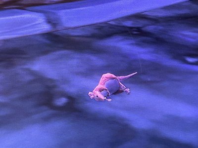 Watch spoon's leaked NSFW photo on TwXstars