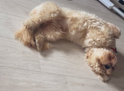 Watch clara's leaked NSFW photo on TwXstars