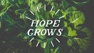 Watch Facebook's leaked NSFW photo on TwXstars