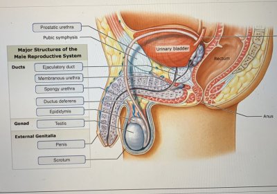 Watch juicy's leaked NSFW photo on TwXstars