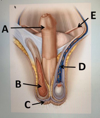 Watch juicy's leaked NSFW photo on TwXstars