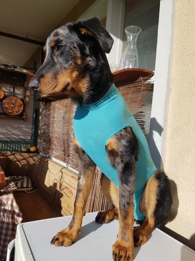 Watch Caroline Tosca's leaked NSFW photo on TwXstars