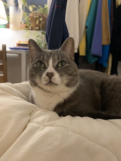 Watch Autumn's leaked NSFW photo on TwXstars