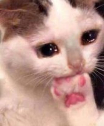 Watch ۶ৎ 𝒶𝓂𝑜𝓊𝓇 ۶ৎ's leaked NSFW photo on TwXstars