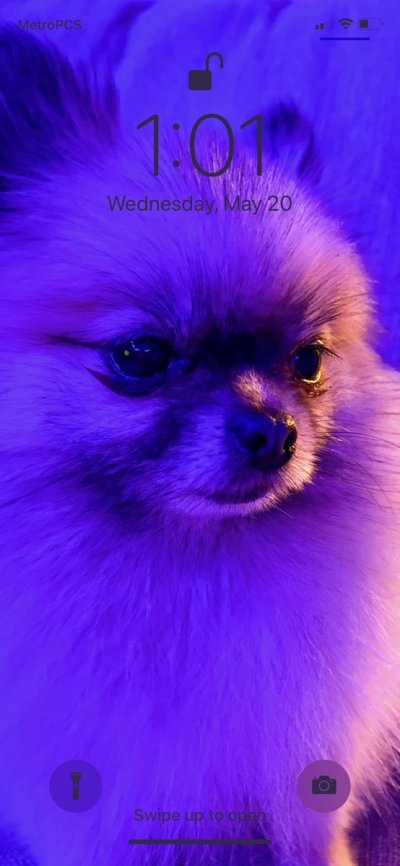 Watch Dagamii ✨'s leaked NSFW photo on TwXstars