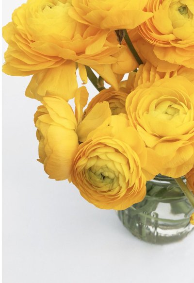 Watch Brooke Nichols | LA | NYC | OnlyFans's leaked NSFW photo on TwXstars