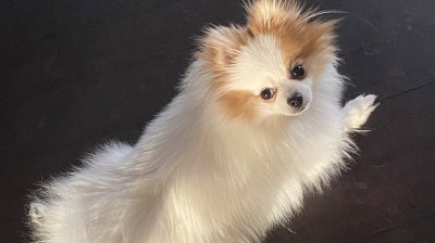 Watch ✨𝓐𝓷𝓪 𝓒𝓱𝓾𝓾 💫𝐹𝑅𝐸𝐸 𝐹𝒮𝐿𝒴 + 𝒪𝐹🔥's leaked NSFW photo on TwXstars