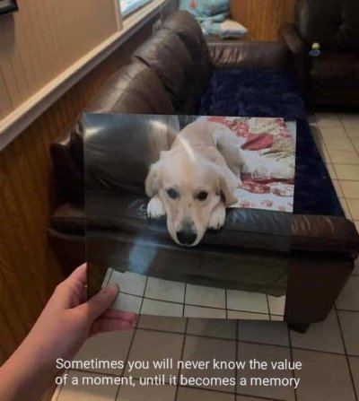 Watch Funny Quotes's leaked NSFW photo on TwXstars