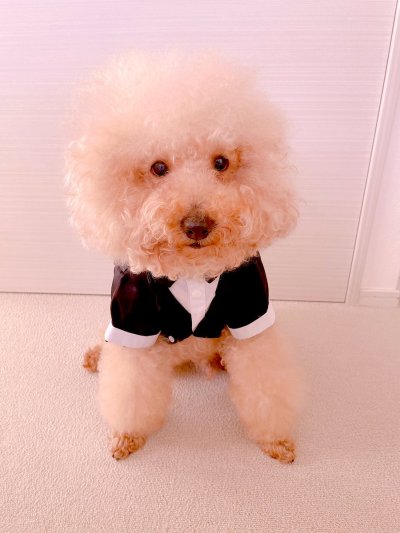 Watch ♥︎official_Hitomi♥︎'s leaked NSFW photo on TwXstars