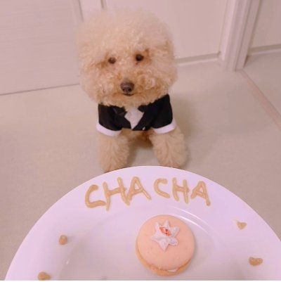 Watch ♥︎official_Hitomi♥︎'s leaked NSFW photo on TwXstars