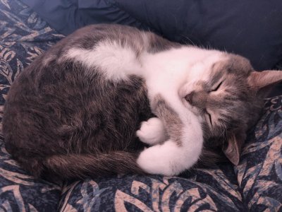 Watch Azura Cosplay ⚔️'s leaked NSFW photo on TwXstars